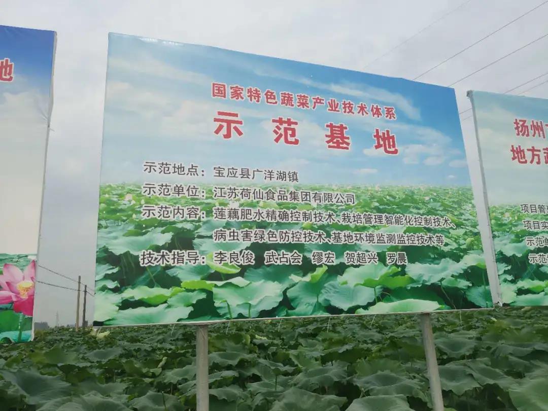 1605250668907603.jpg 微信图片_20201113142121.jpg